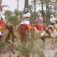 dimitrov marrakech