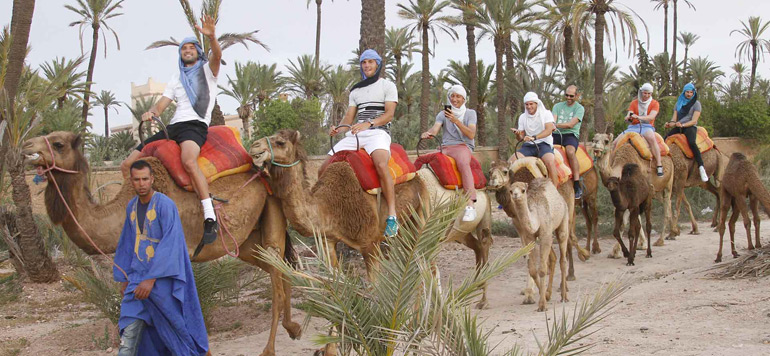 dimitrov marrakech