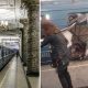 explosion metro Saint Petersbourg