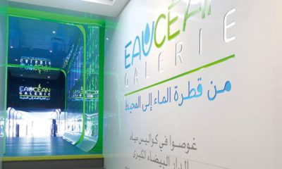Lydec celebre environnement
