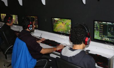 Wild Technology Group