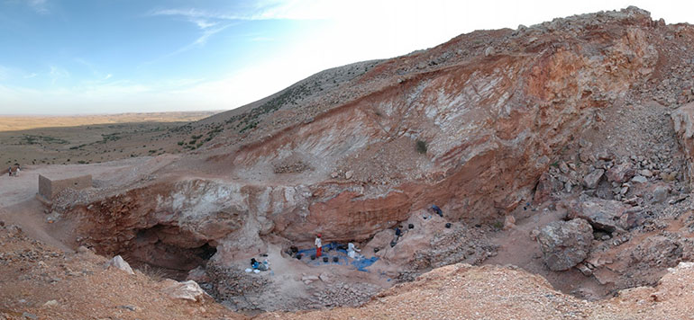 homo sapiens maroc