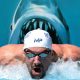 Phelps requin blanc