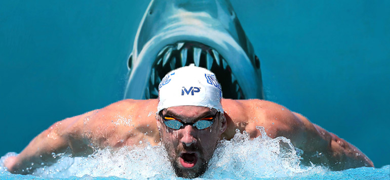 Phelps requin blanc