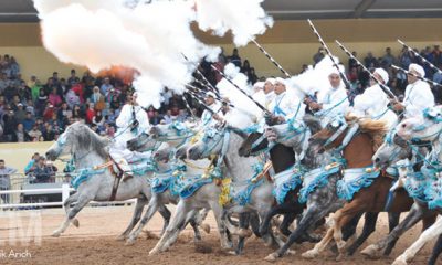 Tbourida Salon du cheval d El Jadida 3 1