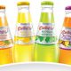 oulmes eaux gazeuses fruiees