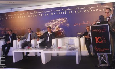 Salon du Cheval