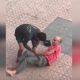 agresseur un vieil homme a Casablanca