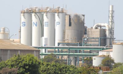 SNEP