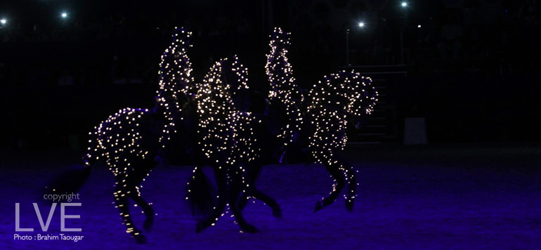 Salon du Cheval spectacle13