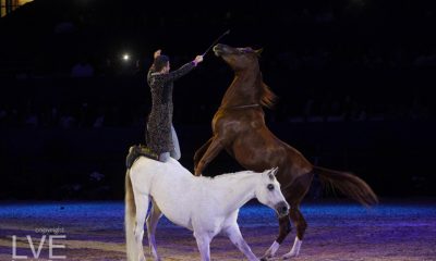 Salon du Cheval spectacle6