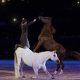 Salon du Cheval spectacle6