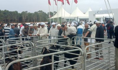 agricole des provinces du Sud
