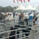 agricole des provinces du Sud