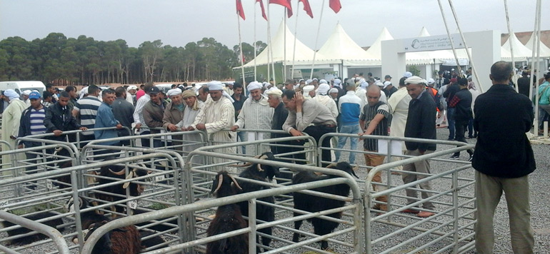agricole des provinces du Sud