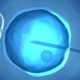 procreation medicalement assistee