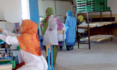 Amendement de la loi sur le microcredit