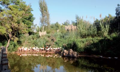 Jardin Zoologique de Rabat