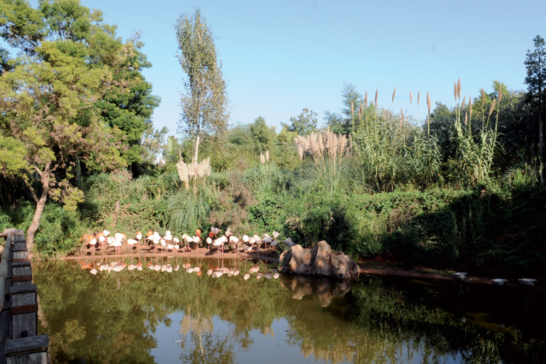 Jardin Zoologique de Rabat