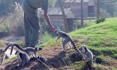 Jardin Zoologique de Rabat3