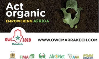 OWC en 2020 a Marrakech