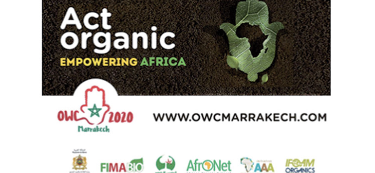 OWC en 2020 a Marrakech