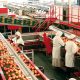 agro industrie