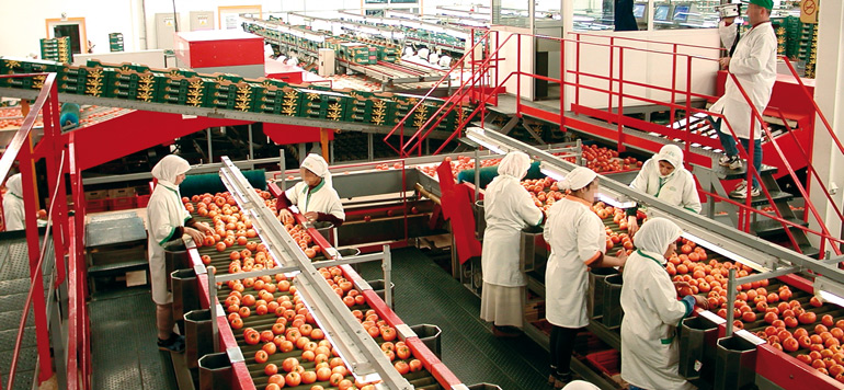 agro industrie