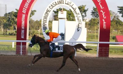 hippodrome de Casablanca Anfa
