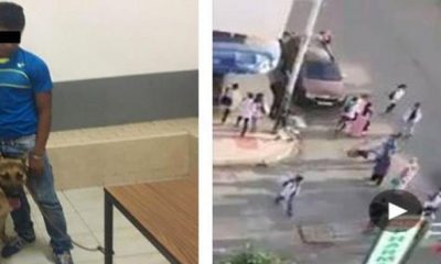 jeune homme seme la terreur avec son chien