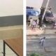 jeune homme seme la terreur avec son chien