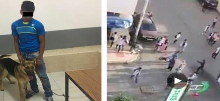 jeune homme seme la terreur avec son chien