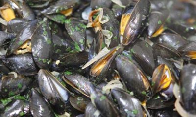 coquillages