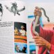 Le Maroc de Tanger a Lagouira un beau livre essentiel