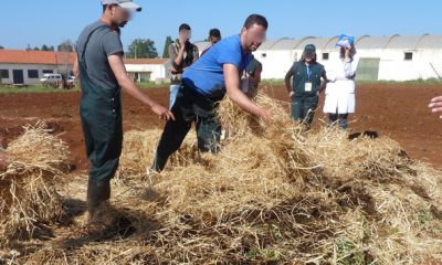 agroecologie