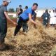 agroecologie