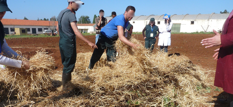 agroecologie