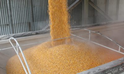 Agriculture Deerfield Ag