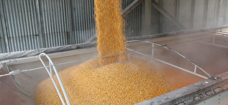 Agriculture Deerfield Ag