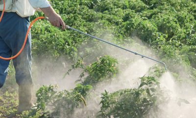 Pesticides a usage agricole