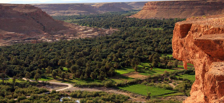 oasis dAguinane