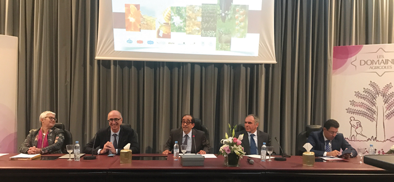 Les Domaines Agricoles se lance dans la formation