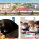 Sana Education