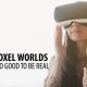 Voxel Worlds