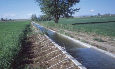 Casablanca Settat soutien consequent de lEtat a lagriculture