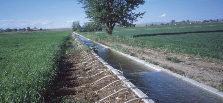Casablanca Settat soutien consequent de lEtat a lagriculture