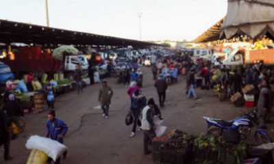 Marche GROS CASA