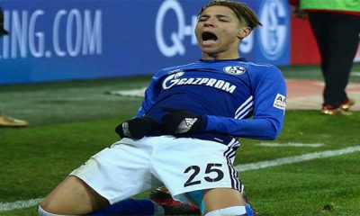 Amine HARIT