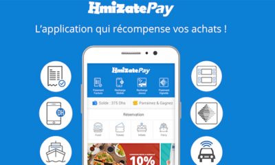 Hmizatepay slide 2