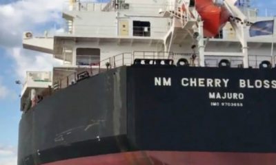 NAVIRE Cherry Blossom OCP